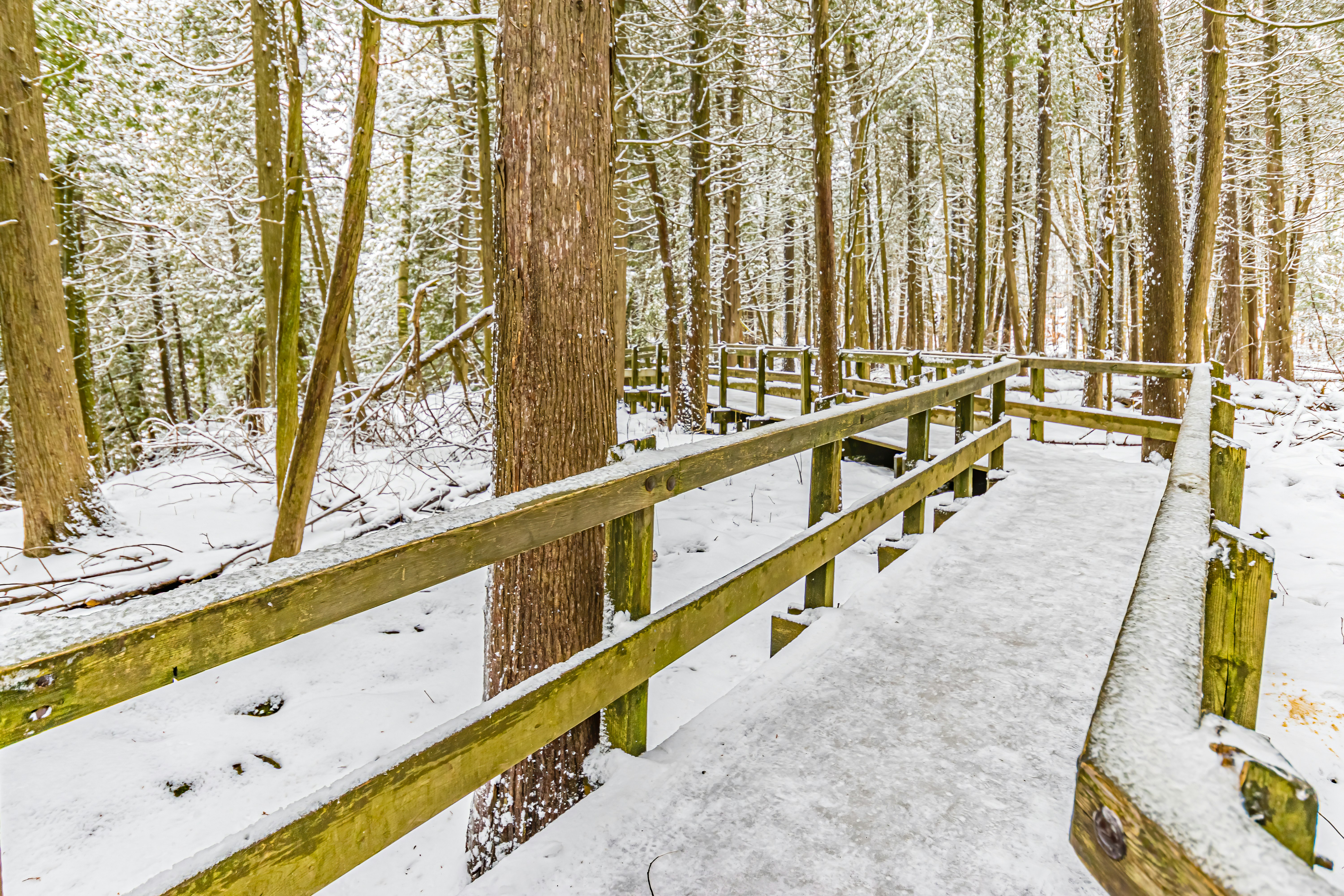 brown wooden fence on snow covered ground